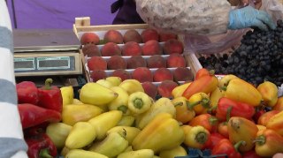 В Алтайском крае задержаны 21 тонна зараженных нектаринов