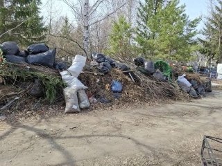 Подрядчика по обслуживанию кладбищ Рубцовска внесли в черный список