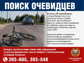 В Барнауле ищут свидетелей ДТП с велосипедистом на Солнечной поляне